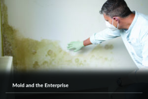 Mold and the Enterprise