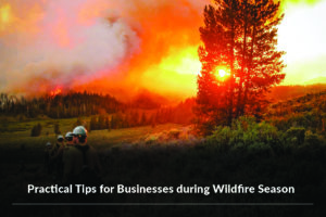 5 Practical Tips for Wildfire Season